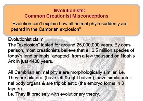 "Evolution can't explain how all animal phyla suddenly appeared in the Cambrian explosion