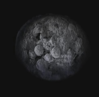 Chengjiang fossil embryo