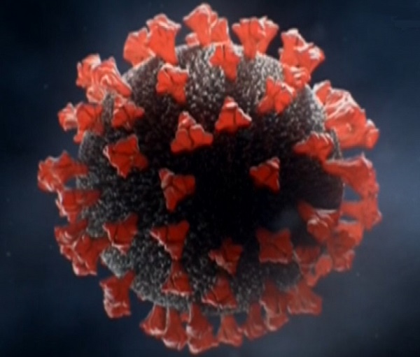 Corona Virus