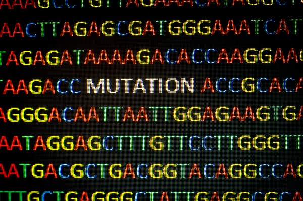 DNA Mutation