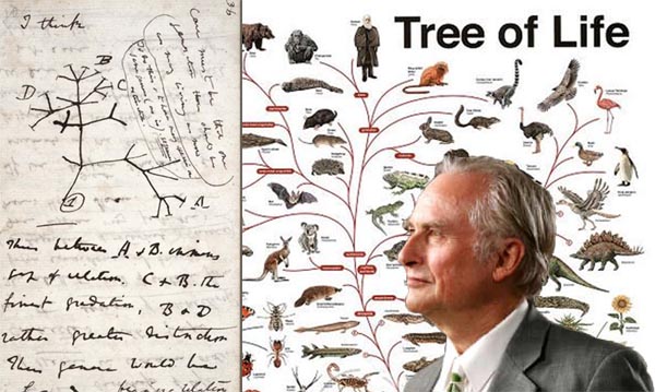 Richard Dawkins and Darwin's Tree of Life