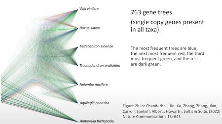 763 Gene Trees - no single tree of life