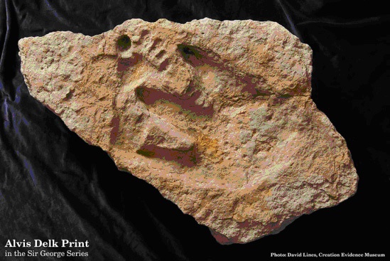 Alvis Delk Human Dinosaur footprints at the Creation Evidence Museum