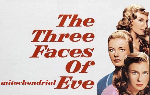 The Three Faces of Mitochondrial Eve