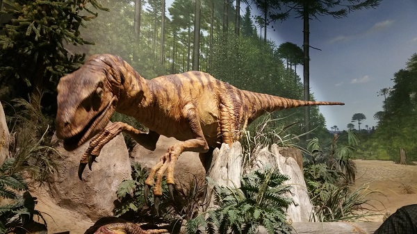 A Therapod dinosaur, AIG's Creation Museum, KY