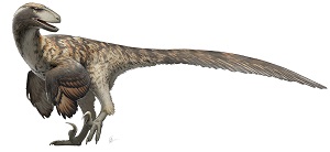 Deinonychus as depicted in Wikipedia 