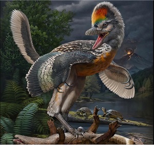  Fujianvenator Prodigiosus as depicted in Nature article
