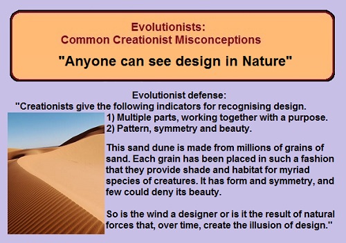 "Anyone can see design in nature"