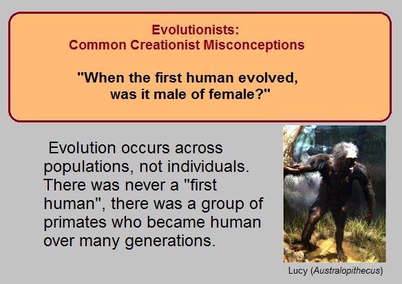 Unmasking Mistakes In Memes Of Evolution Part Rational Faith