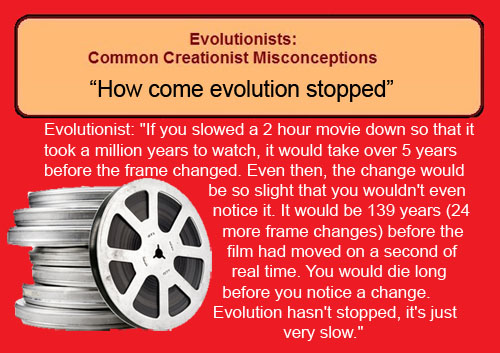 "How come evolution stopped?"